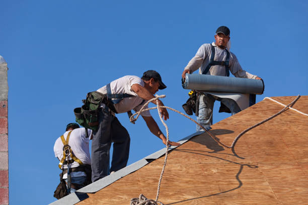 Best Roof Waterproofing Services  in Coopersville, MI