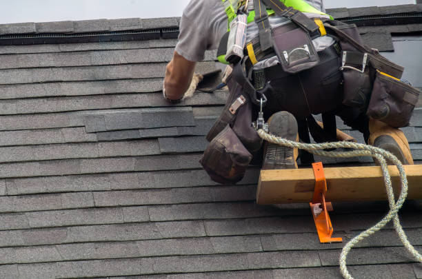 Best Roof Maintenance Services  in Coopersville, MI