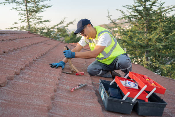 Best Shingle Roofing Installation  in Coopersville, MI